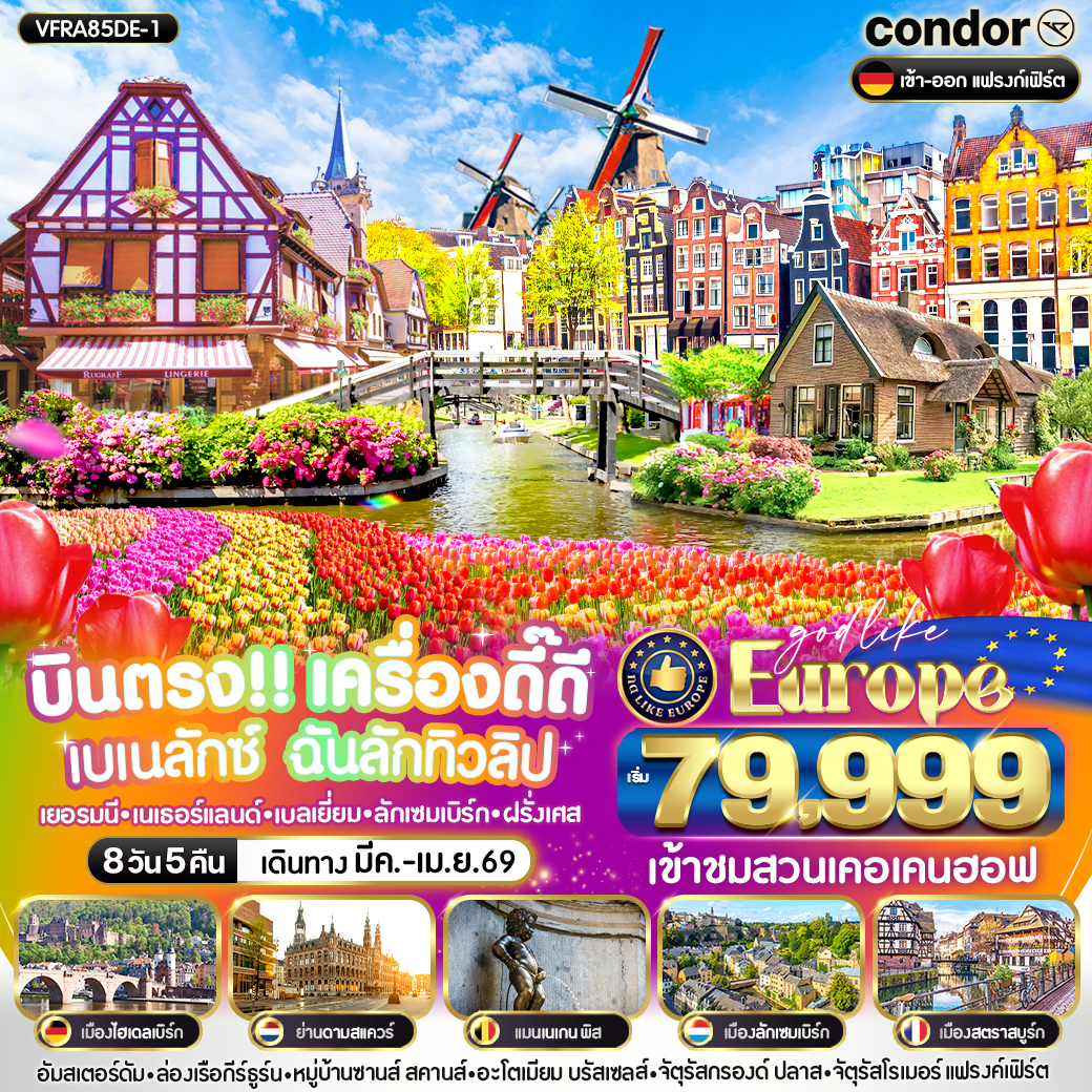 ทัวร์เยอรมณี บินตรง เครื่องดี๊ดี BENELUX ฉันรักทิวลิป 8วัน 5คืน (DE)