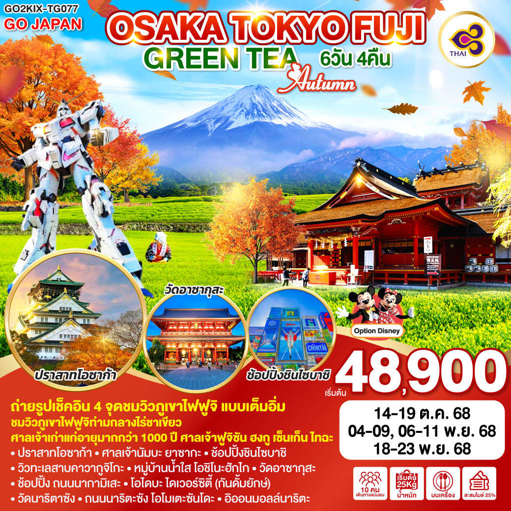 ทัวร์ญี่ปุ่น OSAKA TOKYO FUJI GREEN TEA AUTUMN 6วัน 4คืน (TG)